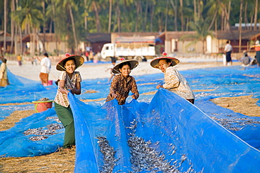 Women drying fish in a fishing village near Ngapali Beach, Gulf of Bengal, Rakhine State, Myanmar, Burma