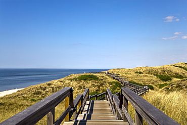 Wooden Staircase over Dunes, Wenningstedt, Sylt Island, North Frisian Islands, Schleswig-Holstein, Germany