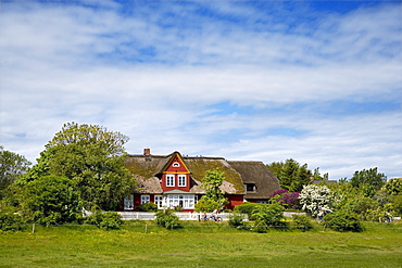 Thatched Houses, Steenodde, Amrum Island, North Frisian Islands, Schleswig-Holstein, Germany