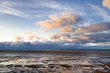 Wadden Sea, Amrum, Island, North Frisian Islands, Schleswig-Holstein, Germany