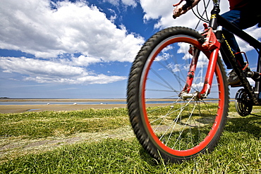 Cyclist on the Dyke, Foehr Island, North Frisian Islands, Schleswig-Holstein, Germany