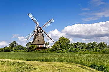 Windmill, Oldsum, Foehr Island, North Frisian Islands, Schleswig-Holstein, Germany