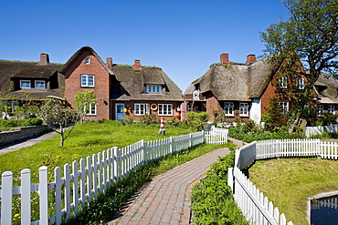 Village on Hallig Oland, North Frisian Islands, Schleswig-Holstein, Germany