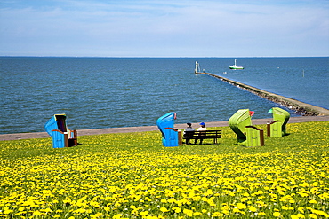 Beach Chairs and Flowers on a Dyke, Pellworm Island, North Frisian Islands, Schleswig-Holstein, Germany