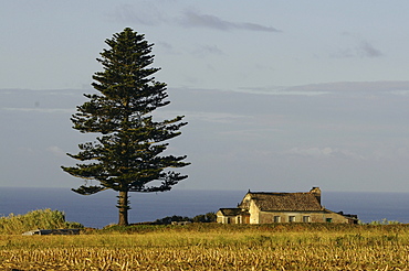 Landscape near Lagoa, Southeastcoast, Sao Miguel Island, Azores, Portugal