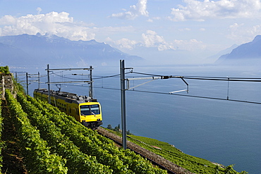 Train de Vignes, Lavaux, Canton of Vaud, Switzerland