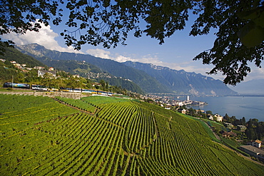 GoldenPass Panoramic train, Montreux, Canton Vaud, Switzerland