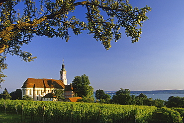 Branch of an apple tree and pilgrimage church of Birnau abbey in the sunlight, Lake Constance, Baden Wurttemberg, Germany