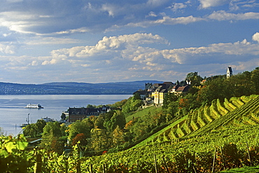 View over vineyard at the houses of Meersburg, Lake Constance, Baden Wurttemberg, Germany