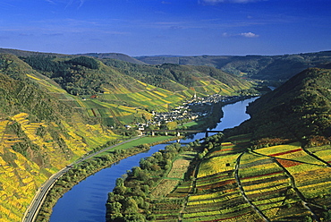 View at Mosel valley near Ediger-Eller, Mosel, Rhineland-Palatinate, Germany