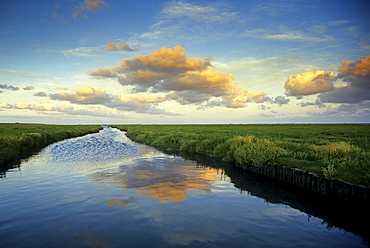 A canal in the tidal land reflecting clouds, Eiderstedt peninsula, North Friesland, Schleswig-Holstein, Germany