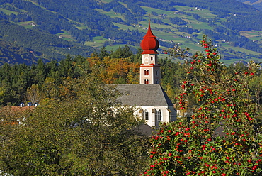 church above valley of Eisack with red apples at apple tree, Dolomites, South Tyrol, Italy