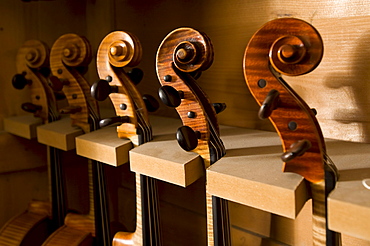 Close up of Violin Scrolls, Workshop of Bruce Carlson, Violin Makers, Cremona, Lombardy, Italy