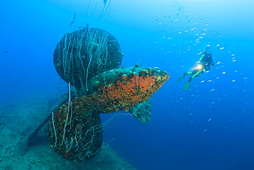 Diver at Propeller of HIJMS Nagato Battleship, Marshall Islands, Bikini Atoll, Micronesia, Pacific Ocean