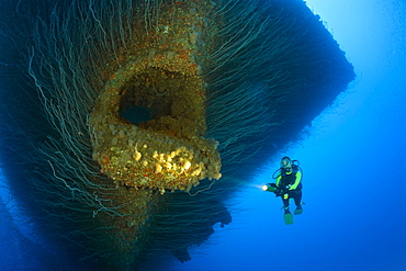 Diver at Anchor Hawse Hole at Bow of USS Saratoga, Marshall Islands, Bikini Atoll, Micronesia, Pacific Ocean