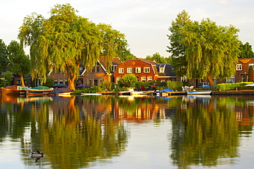 Houses at the riverbank of the river Amstel in the light of the evening sun, Uithoorn, Netherlands, Europe