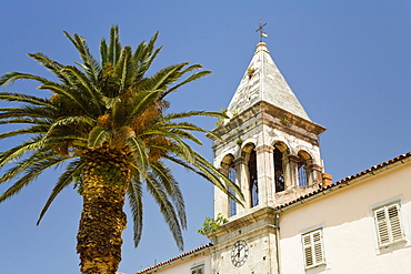 Belltower with palm tree under blue sky, Makarska, Dalmatia, Croatia, Europe