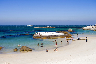 People bathing on the beach, Simon's Town, near Cape Town, Western Cape, South Africa, Africa