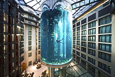 the 5 star Radisson SAS Hotel features the world's largest cylindrical aquarium. entrance to Aqua Dom, a diver cleans the tank, Berlin, Germany