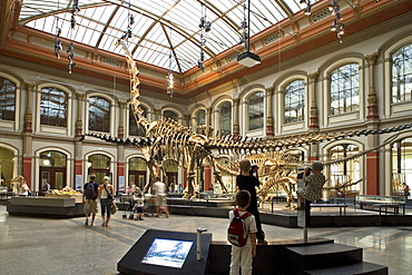 Museum fuer Naturkunde, Berlin Museum of Natural History