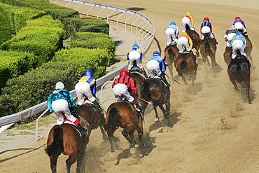 Jockeys riding race horses at a horse race, Nicosia, Lefkosia, South Cyprus, Cyprus