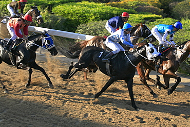 Jockeys riding race horses at a horse race, Nicosia, Lefkosia, South Cyprus, Cyprus