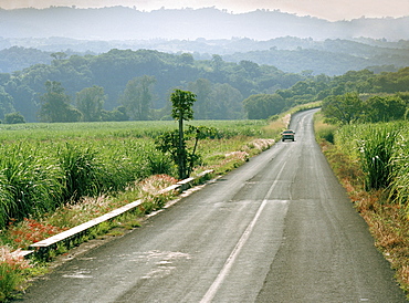 Car on a country road next to sugarcane fields, Veracruz province, Mexico, America