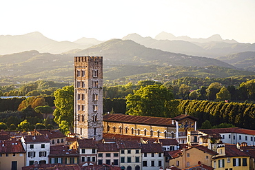 Cathedral San Martino with Belltower, Lucca, Tuskany, Italy