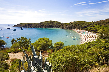 Beach at Fetovaia, Elba, Toskana, Italy