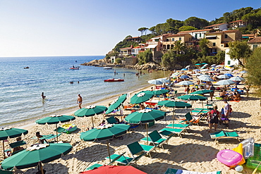 Beach at Biodola, Elba, Italy, Mediterranean, Europe