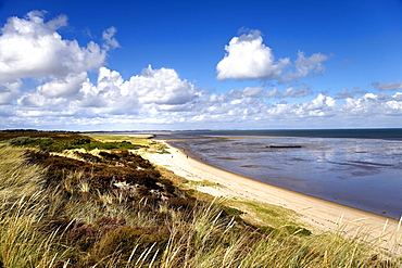 Beach at Braderup heath, Braderup, Sylt Island, Schleswig-Holstein, Germany