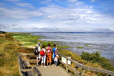 View from Morsum cliff, Morsum, Sylt Island, Schleswig-Holstein, Germany