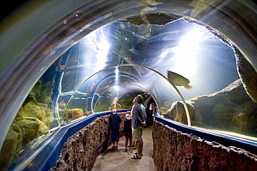 People visiting Aquarium, Westerland, Sylt Island, Schleswig-Holstein, Germany