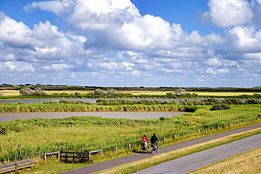 Cyclists near Morsum, Sylt Island, Schleswig-Holstein, Germany