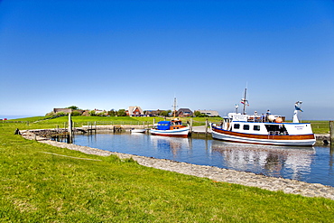 Boats in harbor, Oland hallig, North Frisian Islands, Schleswig-Holstein, Germany