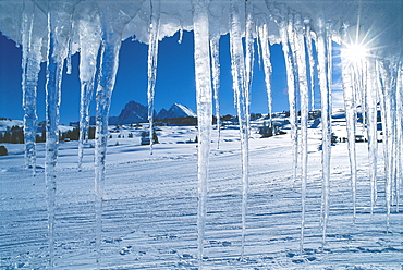 Icicles and winter landscape in the sunlight, Alpe di Siusi, South Tyrol, Italy, Europe