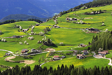 View at houses at a green valley, Kastelruth, South Tyrol, Italy, Europe