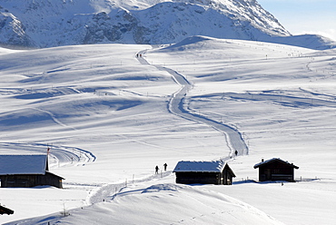 Alpine huts next to cross-country ski run at a snowy winter landscape, Alpe di Siusi, South Tyrol, Italy, Europe