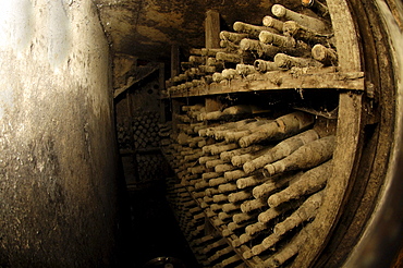 View at dusty wine bottles at a wine cellar, Terlan, South Tyrol, Italy, Europe