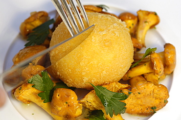 Dumpling with chanterelles, Restaurant zur Rose, South Tyrol, Italy, Europe