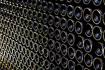 Rows of bottles of sparkling wine, Sektkellerei Reiterer, Arunda Sekt, Moelten, South Tyrol, Italy