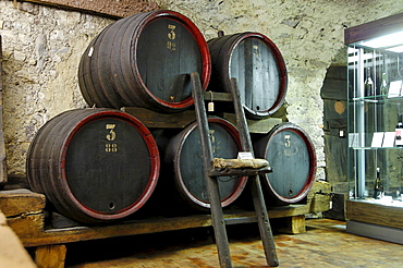 Wine celler with wine barrels, South Tyrol Wine Museum, Caldaro, Kaltern an der Weinstrasse, South Tyrol, Italy