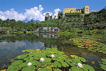 The garden of Trauttmansdorff castle, Meran, South Tyrol, Italy