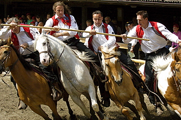 Labyrinth, Tournament, Oswald von Wolkenstein Ritt, Event 2005, Seis am Schlern, South Tyrol, Italy