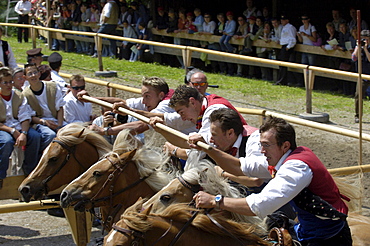 Labyrinth, Tournament, Oswald von Wolkenstein Ritt, Event 2005, Seis am Schlern, South Tyrol, Italy