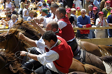 Labyrinth, Tournament, Oswald von Wolkenstein Ritt, Event 2005, Seis am Schlern, South Tyrol, Italy