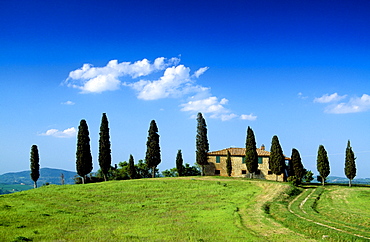 Country house with cypresses under blue sky, Val d'Orcia, Tuscany, Italy, Europe