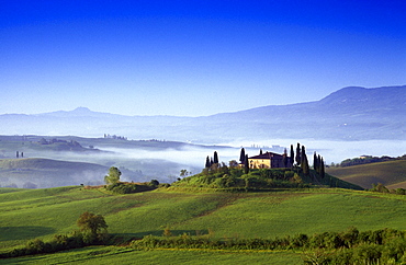 Country house with cypresses under blue sky, Val d'Orcia, Tuscany, Italy, Europe