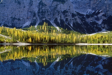 Lake with reflection, Lago di Braies, Dolomite Alps, South Tyrol, Italy