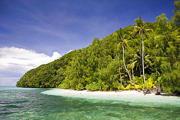 Palm-lined Beach at Palau, Micronesia, Palau